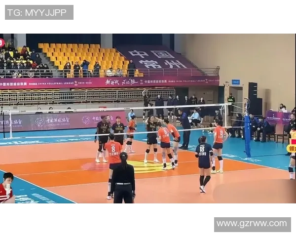 江苏女排与辽宁女排激战12轮精彩对决全场回顾与赛后分析